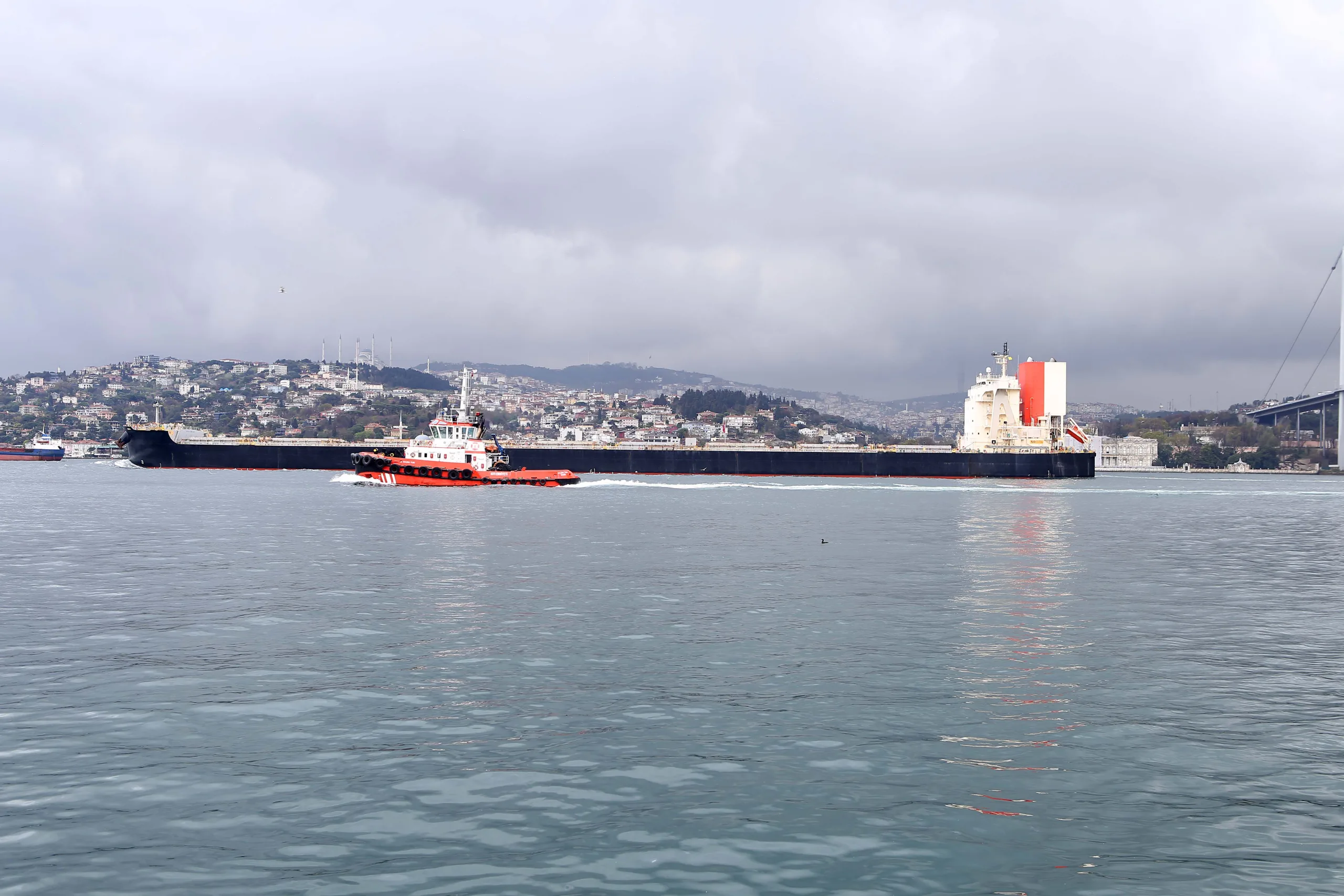 Cruise ships