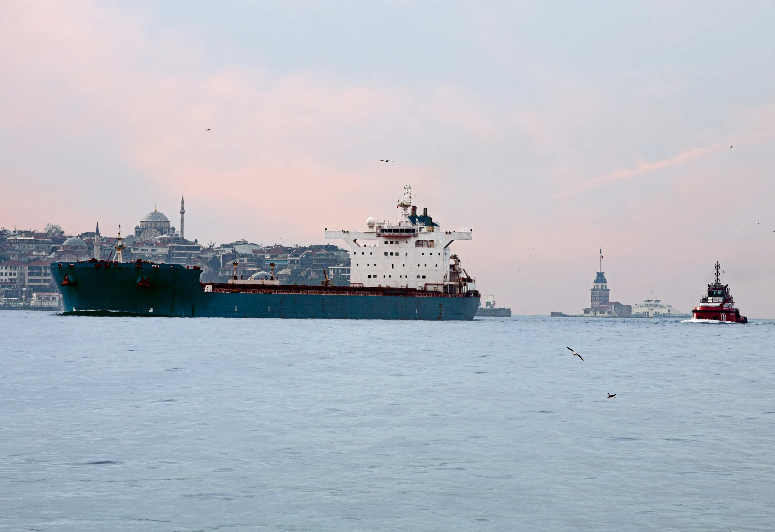 Dry dock agency in Tuzla
