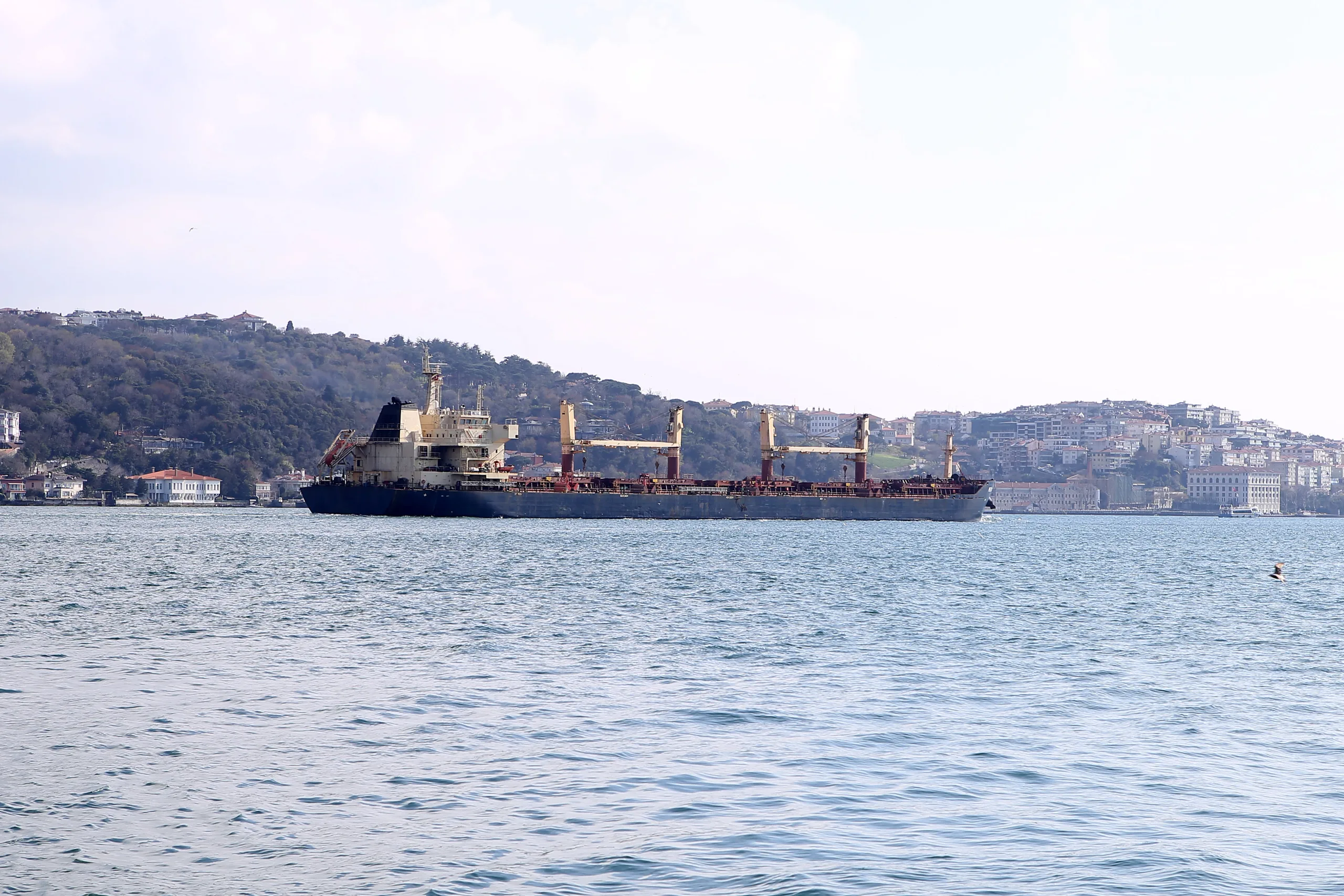 Vessel husbandry
