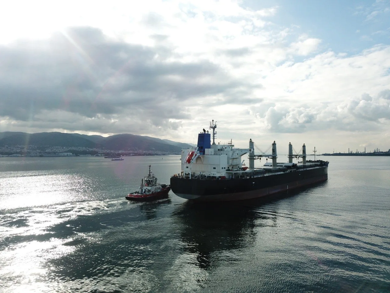 Port agency